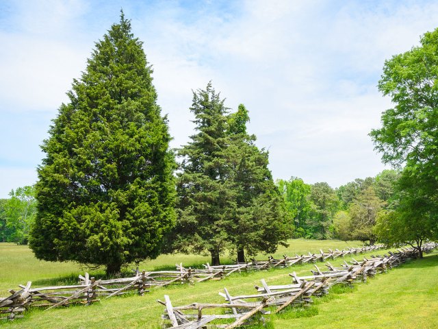 Yorktown Battlefield in Virginia