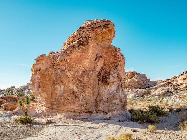 Desert rock formation at Nevada's Gold Butte National Monument