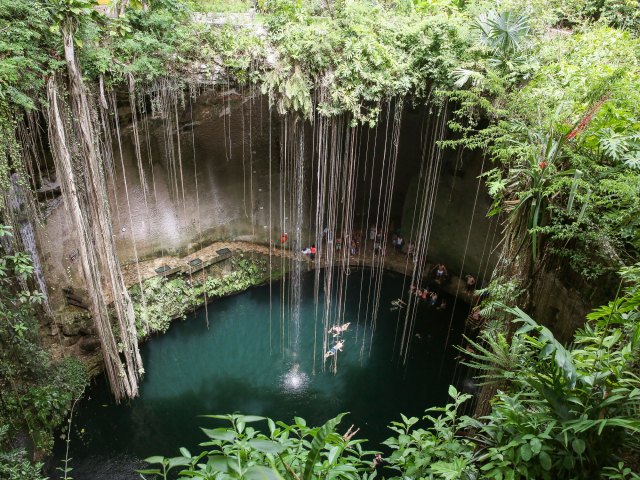 Vines dangling over swimmers in Ik Kil Cenote in Mexico, seen from above