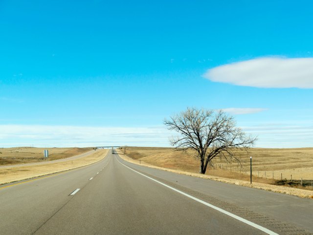 Lone tree on the side of Interstate 80