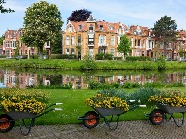 Canal lined with homes and flower-filled wheelbarrows in Leiden, the Netherlands