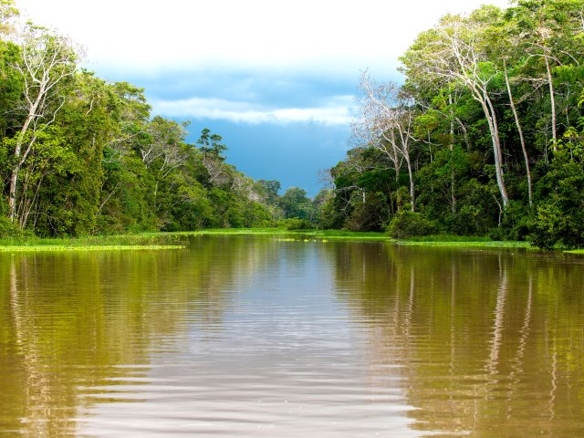 Calm waters of the Amazon River in South America