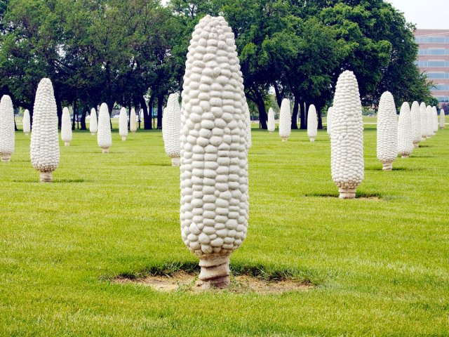 Field of corn sculptures in Dublin, Ohio