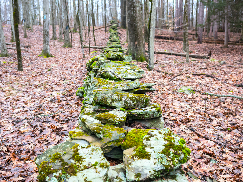 Stone wall overgrown with moss in Pennsylvania